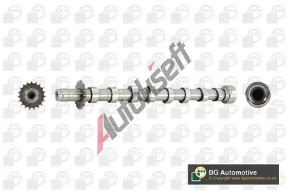 BGA Vačkový hřídel BGA CS5524, CS5524 BGA Vačkový hřídel BGA CS5524, CS5524