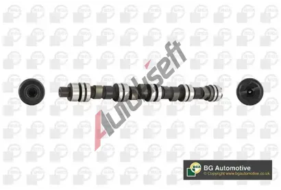 BGA Va�kov� h��del BGA CS6303, CS6303