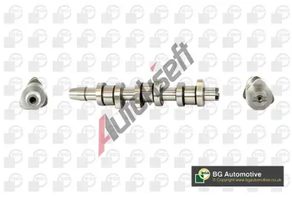 BGA Vačkový hřídel BGA CS7900, CS7900 BGA Vačkový hřídel BGA CS7900, CS7900