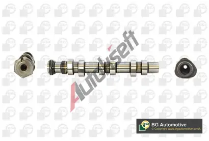 BGA Vačkový hřídel BGA CS8200, CS8200 BGA Vačkový hřídel BGA CS8200, CS8200
