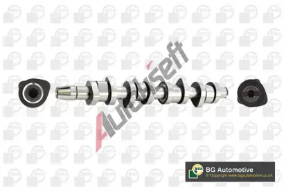 BGA Vačkový hřídel BGA CS9503, CS9503 BGA Vačkový hřídel BGA CS9503, CS9503