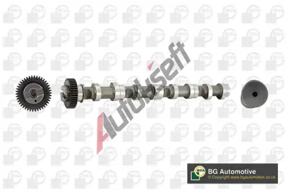 BGA Vačkový hřídel BGA CS9611, CS9611 BGA Vačkový hřídel BGA CS9611, CS9611