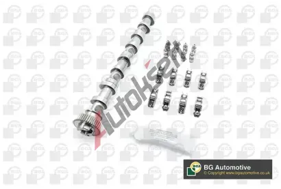 BGA Sada vačkového hřídele BGA CS9611FK, CS9611FK BGA Sada vačkového hřídele BGA CS9611FK, CS9611FK