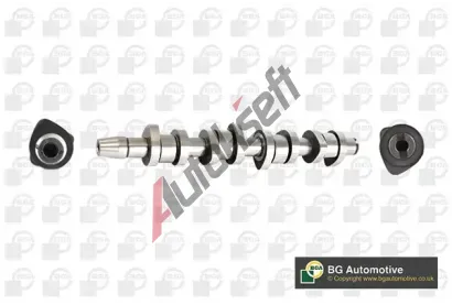 BGA Vačkový hřídel BGA CS9901, CS9901 BGA Vačkový hřídel BGA CS9901, CS9901