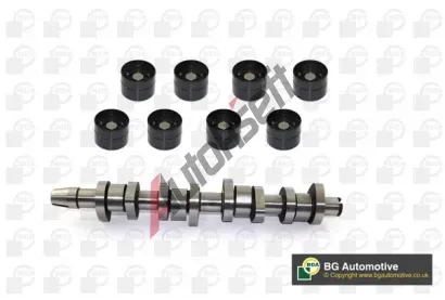 BGA Sada vačkového hřídele BGA CS9901K, CS9901K BGA Sada vačkového hřídele BGA CS9901K, CS9901K