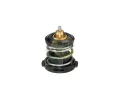 Termostat chladiva&nbsp;BGA&nbsp;&dash;&nbsp;BGA CT9624