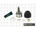 Kloub hnac�ho h��dele, sada&nbsp;BGA&nbsp;&dash;&nbsp;BGA CV2502A