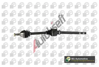 BGA Hnac� h��del BGA DS1401R, DS1401R