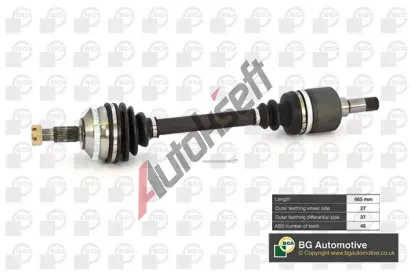 BGA Hnac� h��del BGA DS1418L, DS1418L