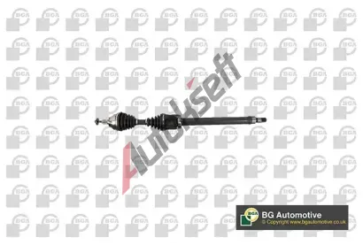 BGA Hnací hřídel BGA DS2306R, DS2306R BGA Hnací hřídel BGA DS2306R, DS2306R