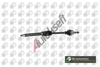 BGA Hnac� h��del BGA DS2321R, DS2321R