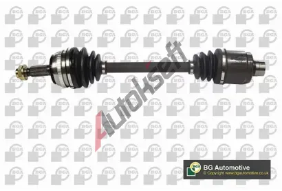 BGA Hnac� h��del BGA DS2506LA, DS2506LA