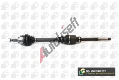 BGA Hnac� h��del BGA DS6733R, DS6733R