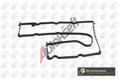 BGA T�sn�n� krytu hlavy v�lce BGA RC2333, RC2333