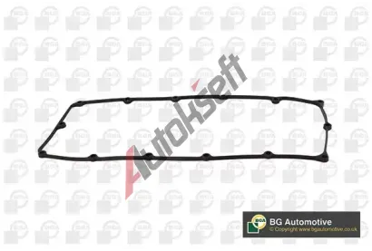 BGA T�sn�n� krytu hlavy v�lce BGA RC3100, RC3100