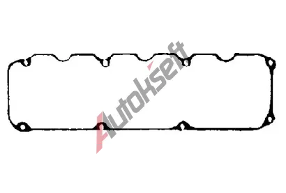 BGA T�sn�n� krytu hlavy v�lce BGA RC3355, RC3355