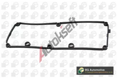 BGA T�sn�n� krytu hlavy v�lce BGA RC4519, RC4519