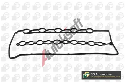 BGA T�sn�n� krytu hlavy v�lce BGA RC5546, RC5546