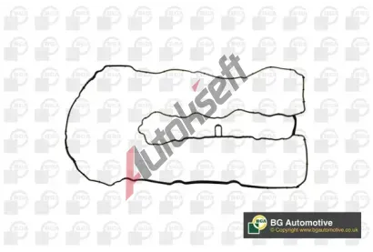 BGA T�sn�n� krytu hlavy v�lce BGA RC5585, RC5585