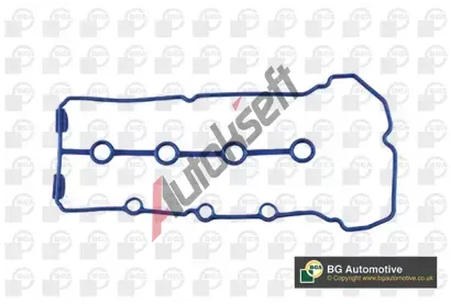 BGA T�sn�n� krytu hlavy v�lce BGA RC5591, RC5591