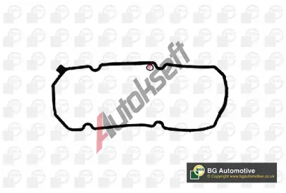 BGA T�sn�n� krytu hlavy v�lce BGA RC5594, RC5594