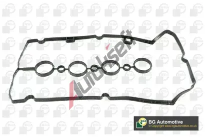 BGA T�sn�n� krytu hlavy v�lce BGA RC5596, RC5596