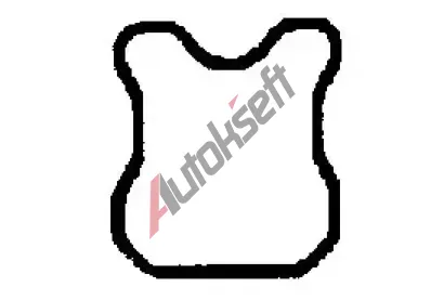 BGA T�sn�n� krytu hlavy v�lce BGA RC6382, RC6382