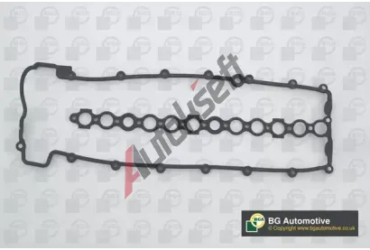 BGA T�sn�n� krytu hlavy v�lce BGA RC8396, RC8396