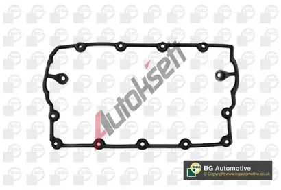 BGA T�sn�n� krytu hlavy v�lce BGA RC9383, RC9383