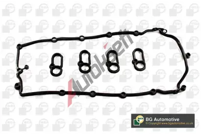 BGA Sada t�sn�n� krytu hlavy v�lce BGA RK4202, RK4202