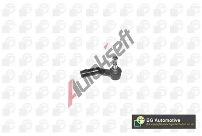 BGA Čep řízení BGA SR5404, SR5404 BGA Čep řízení BGA SR5404, SR5404