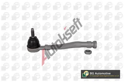 BGA Čep řízení BGA SR6738, SR6738 BGA Čep řízení BGA SR6738, SR6738