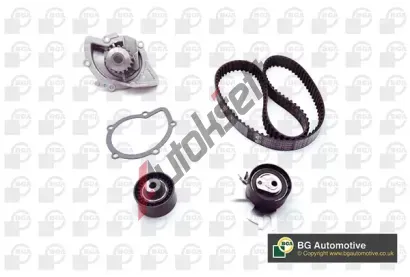 BGA Vodn� pumpa - sada ozuben�ho �emene BGA TB2309CPK, TB2309CPK