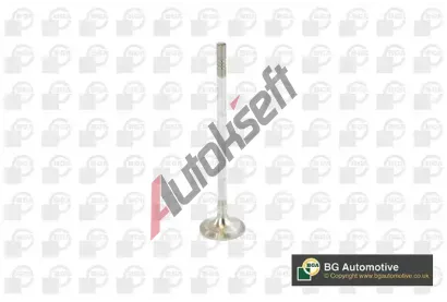 BGA V�fukov� ventil BGA V016840, V016840