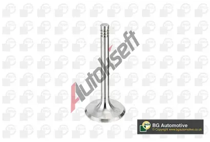 BGA Sací ventil BGA V033313, V033313 BGA Sací ventil BGA V033313, V033313