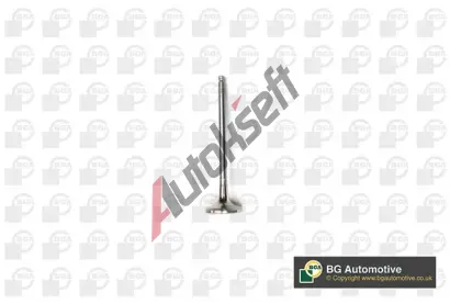 BGA Výfukový ventil BGA V141081, V141081 BGA Výfukový ventil BGA V141081, V141081