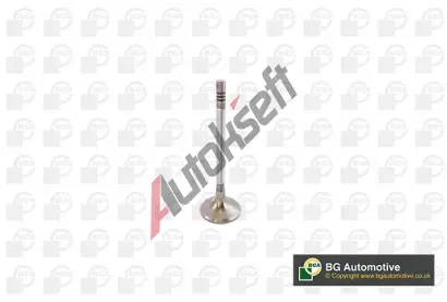 BGA Sací ventil BGA V142049, V142049 BGA Sací ventil BGA V142049, V142049