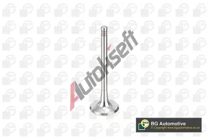BGA Sací ventil BGA V163720, V163720 BGA Sací ventil BGA V163720, V163720