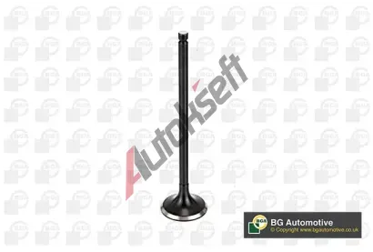 BGA V�fukov� ventil BGA V165411, V165411