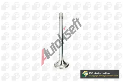 BGA V�fukov� ventil BGA V165961, V165961
