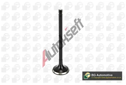 BGA V�fukov� ventil BGA V166041, V166041