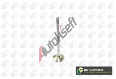 BGA V�fukov� ventil BGA V166211, V166211
