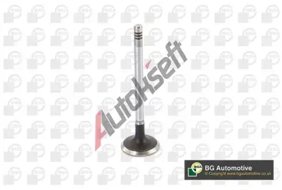 BGA Sac� ventil BGA V424831, V424831