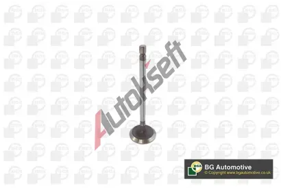 BGA Sac� ventil BGA V611981, V611981