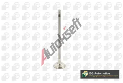 BGA V�fukov� ventil BGA V737875, V737875