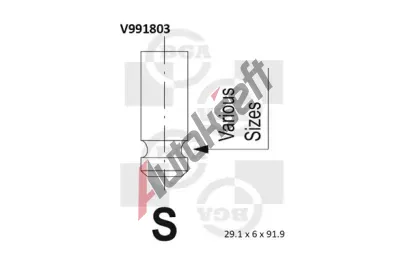 BGA Sac� ventil BGA V991803, V991803