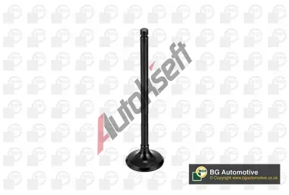 BGA V�fukov� ventil BGA V998746, V998746