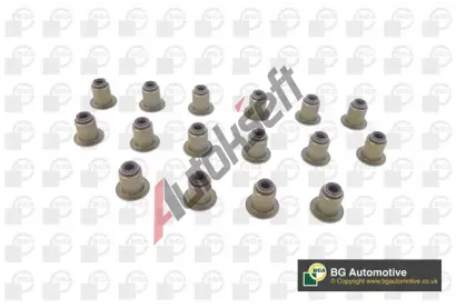 BGA Sada těsnění dříku ventilu BGA VK1372, VK1372 BGA Sada těsnění dříku ventilu BGA VK1372, VK1372