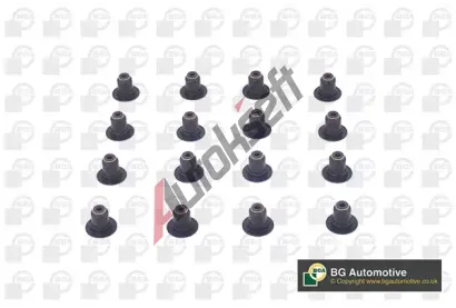 BGA Sada t�sn�n� d��ku ventilu BGA VK1379, VK1379