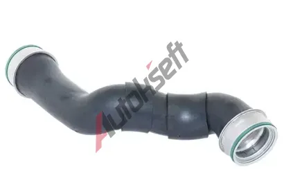 BUGIAD Hadice plnicho vzduchu BGD 81606, 81606
